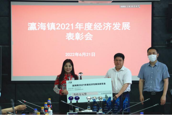 助力經(jīng)濟(jì)發(fā)展，美巢集團(tuán)股份公司獲瀛海鎮(zhèn)經(jīng)濟(jì)發(fā)展三項(xiàng)大獎(jiǎng)